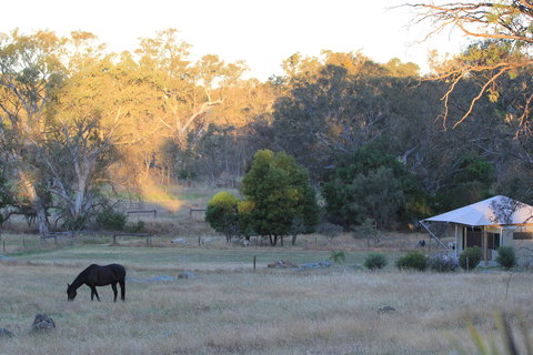 Boongarrie Luxury Tent - Accommodation Sydney 7
