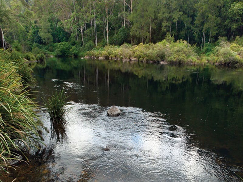 Wild Cattle Creek NSW Sydney 4u