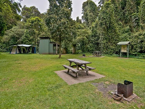 Forest Tops Campground - Sydney 4u 0