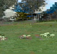 Gaddleen Grove Cottages - Sydney 4u