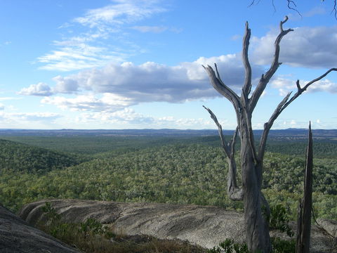 Goat Rock Camping Ground And Tourist Park - Sydney 4u 0