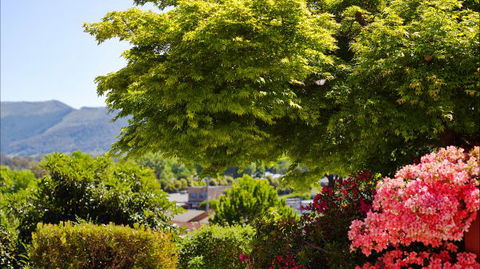 Greatview Holiday Spa Retreat For Couples - Accommodation Sydney 4