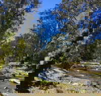 Highfield Farm and Woodland Bush Campsites - Sydney 4u
