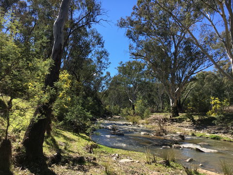 Highfield Farm And Woodland Bush Campsites - Accommodation Sydney 0