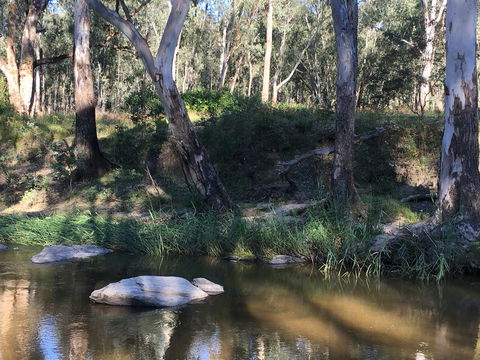 Highfield Farm And Woodland Bush Campsites - Accommodation Sydney 1