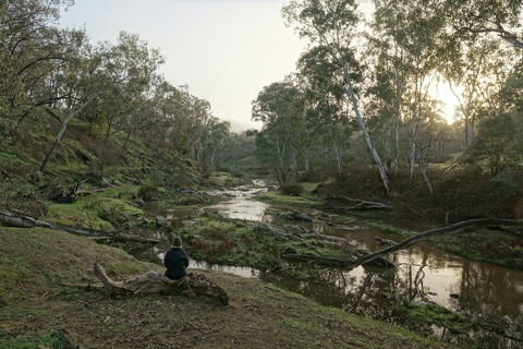 Highfield Farm And Woodland Bush Campsites - Accommodation Sydney 2