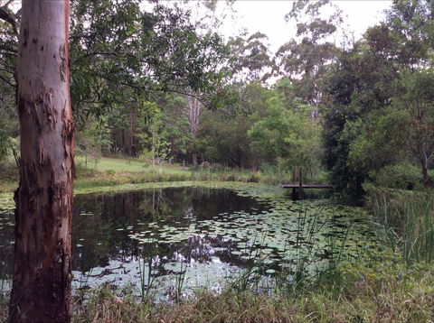 Maleny Country Cottages - Sydney 4u 3