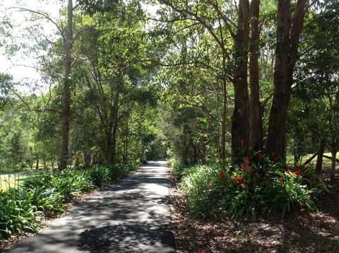 Maleny Country Cottages - Sydney 4u 8