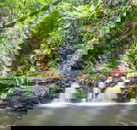 O'Reilly's Rainforest Retreat - Sydney 4u