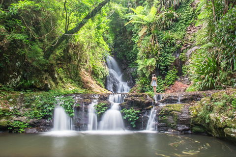O'Reilly's Rainforest Retreat - Sydney 4u 0