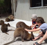 The Patriarch Wildlife Sanctuary Camping Ground - Sydney 4u