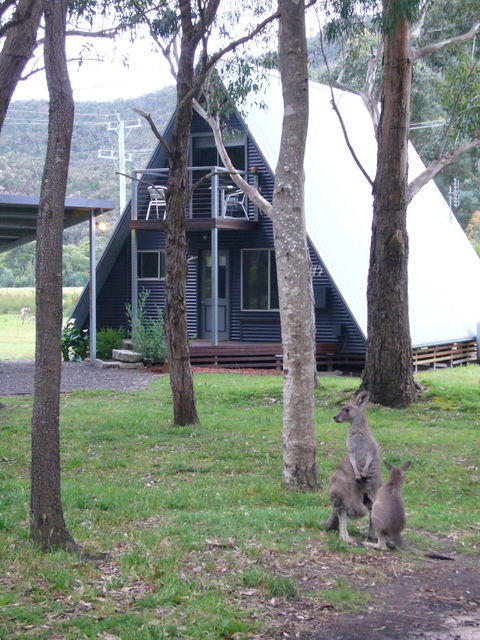 The A-Frame - Sydney 4u 0
