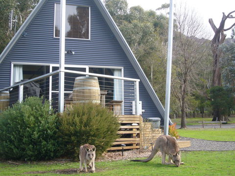 The A-Frame - Sydney 4u 9