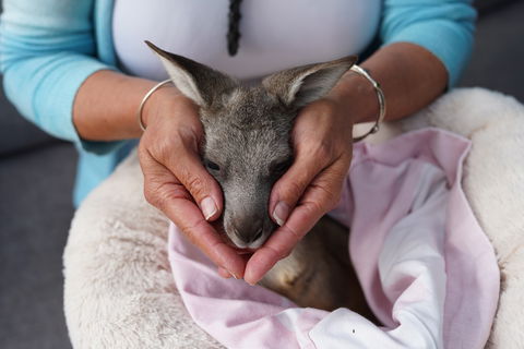 Tiandi Wildlife Sanctuary Farm Stay - Jambalaya Cottage - Sydney 4u 7