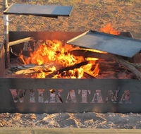 Wilkatana Station