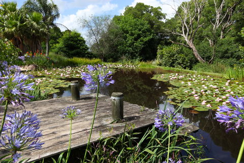 Yellow Dog Cottage - Accommodation Sydney 6