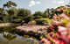 Yellow Dog Cottage - thumb 7