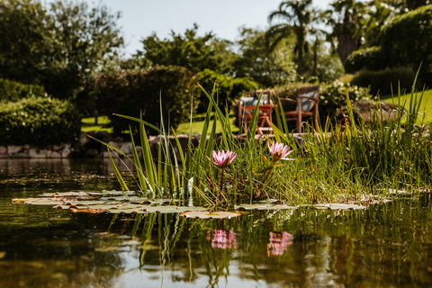 Yellow Dog Cottage - Accommodation Sydney 8