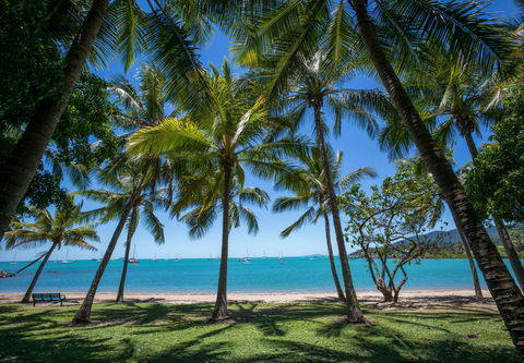 Airlie Beach YHA - Sydney 4u 1