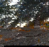 Almerta Station - Accommodation Sydney