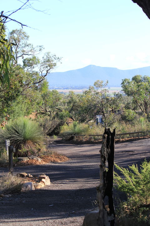 Aquila Eco Lodges - Accommodation Sydney 5