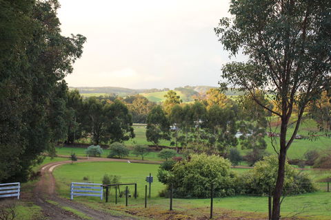 Blue House Bed And Breakfast - Sydney 4u 2