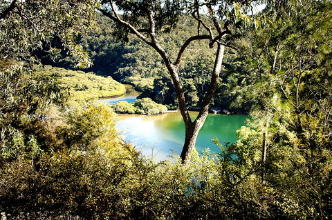 Calabash Bay Lodge - Accommodation Sydney 5