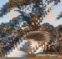 Coonawarra Bubble Tents - Accommodation Sydney