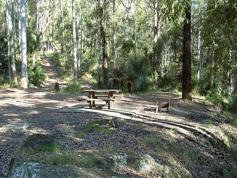 Gap Creek Campground - Sydney 4u 1