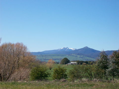 Goughs Bay Holiday Cottages - Accommodation Sydney 6