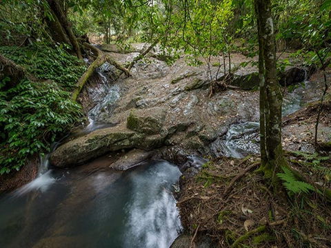 Jacky Barkers Campground - Accommodation Sydney 3