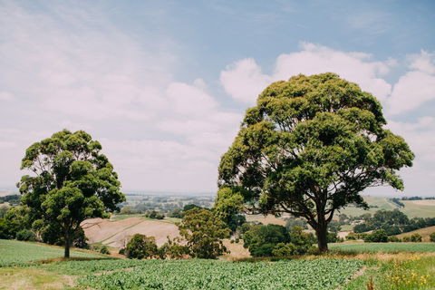 Kardella Country Homestead - Accommodation Sydney 9
