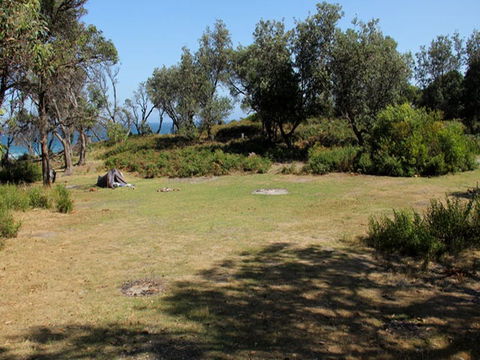 Middle Beach Campground - Sydney 4u 0