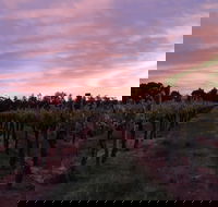 Milawa Vineyard Views - Sydney 4u