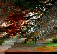Misty Valley Country Cottages - Sydney 4u