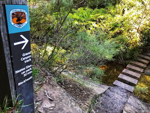 Redleaf Resort - Accommodation Sydney 1