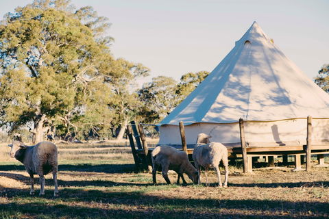 Bellwether Wines - Sydney 4u 2