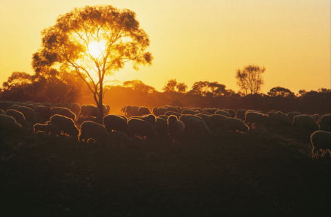 Clandulla Cottages & Farmstay - Accommodation Sydney 0