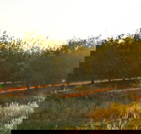 Griffith Tourist Caravan Park - Accommodation Sydney