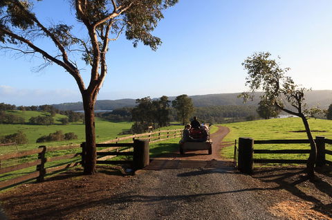 Harvey Hills Farm Stay Chalets - Accommodation Sydney 1