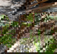 Melaleuca Surfside Backpackers - Accommodation Sydney