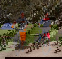 Ngarigo campground - Accommodation Sydney