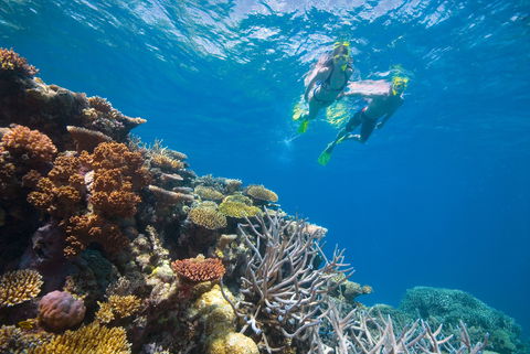 NRMA Cairns Holiday Park - Sydney 4u 0