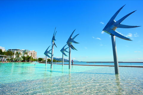 NRMA Cairns Holiday Park - Sydney 4u 1