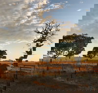 Rocklea Farm - Accommodation Sydney