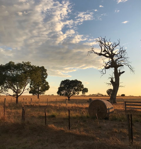 Rocklea Farm - Accommodation Sydney 0