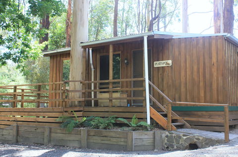 Tarra Valley Caravan Park - Accommodation Sydney 1