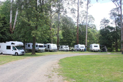 Tarra Valley Caravan Park - Accommodation Sydney 2