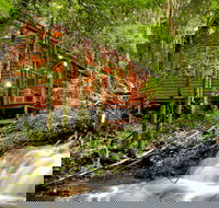 The Mouses House - Rainforest Retreat - Accommodation Sydney