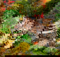 Thorngrove Manor Hotel - Accommodation Sydney